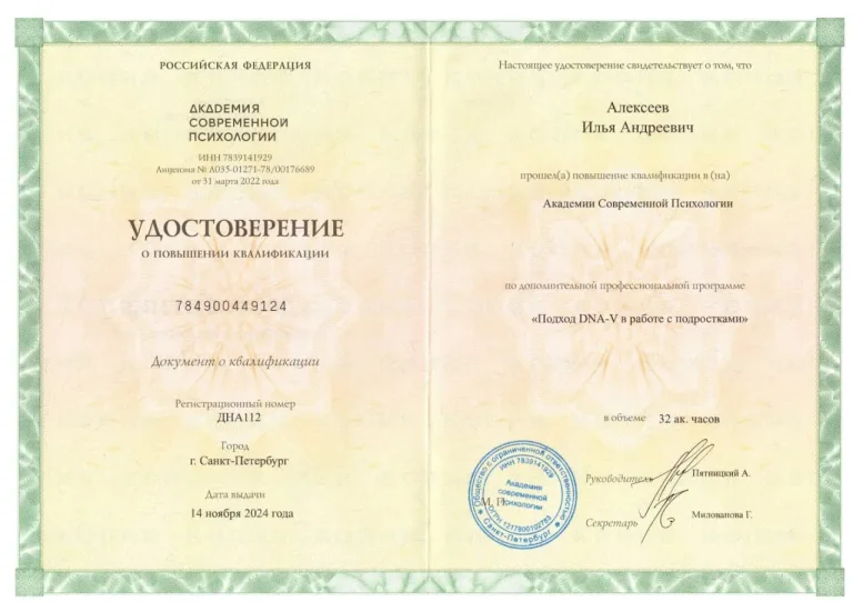 Подход DNA-V в работе с подростками                                                                                                          Подход DNA-V в работе с подростками